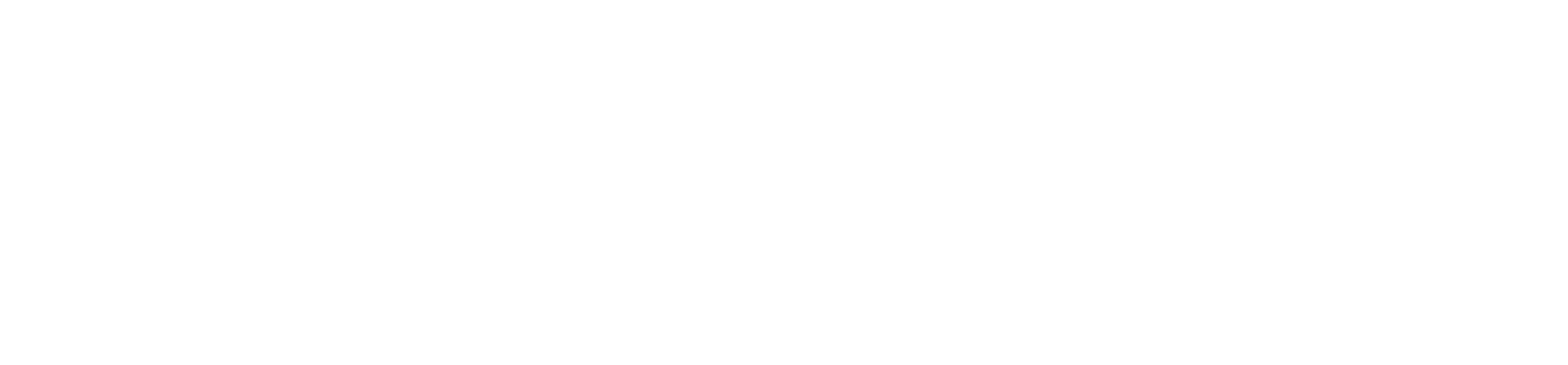 Third Sock Co.